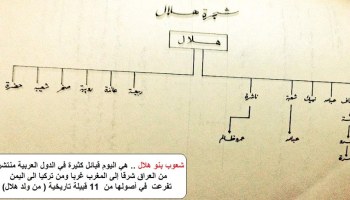 أصول القبائل العربية الجزائرية Les Origines Des Tribus Arabes