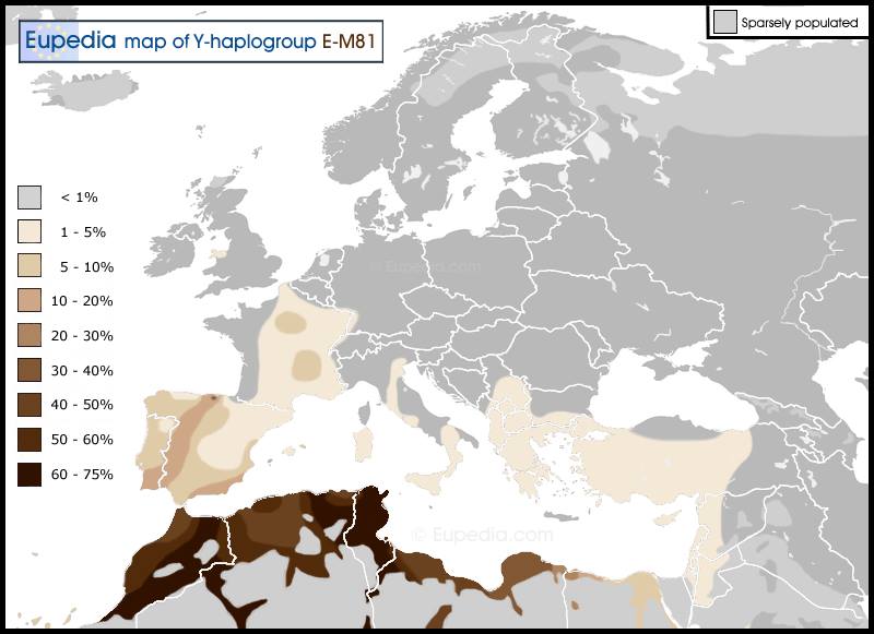خداع الإحصائيات الجينية في شمال افريقيا … . جينات الأمازيغ والعرب في المغرب مثالا